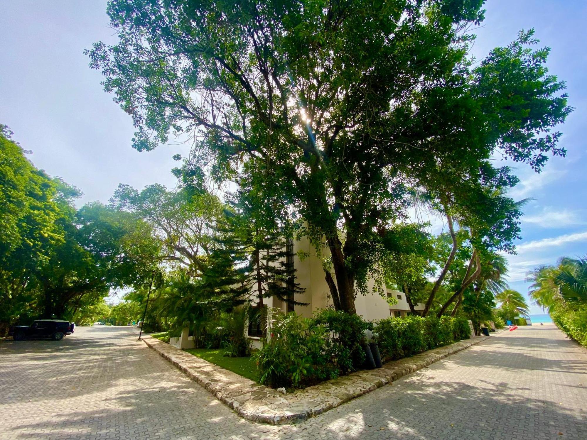 פלאייה דל כרמן Villa Almendra Playacar 1 מראה חיצוני תמונה